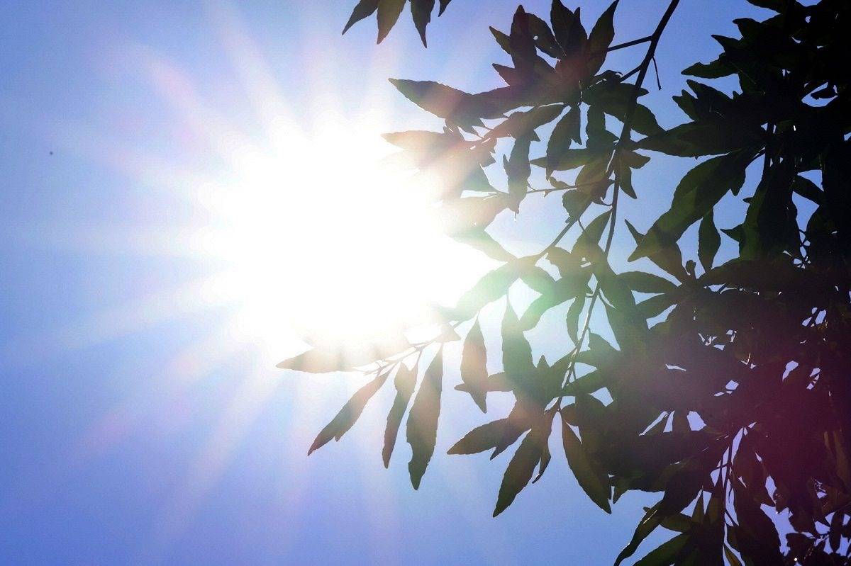 猛暑でエアコン室外機の故障急増!?